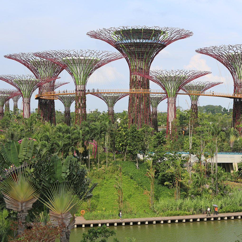 Singapore Tour Packages from Mysore